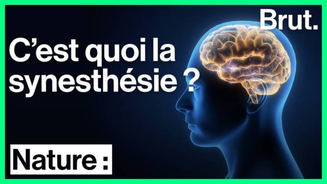 synesthesie-sens-cerveau